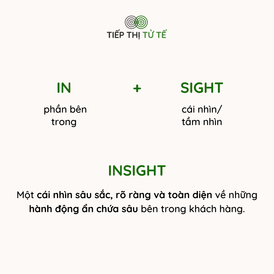 customer-insight