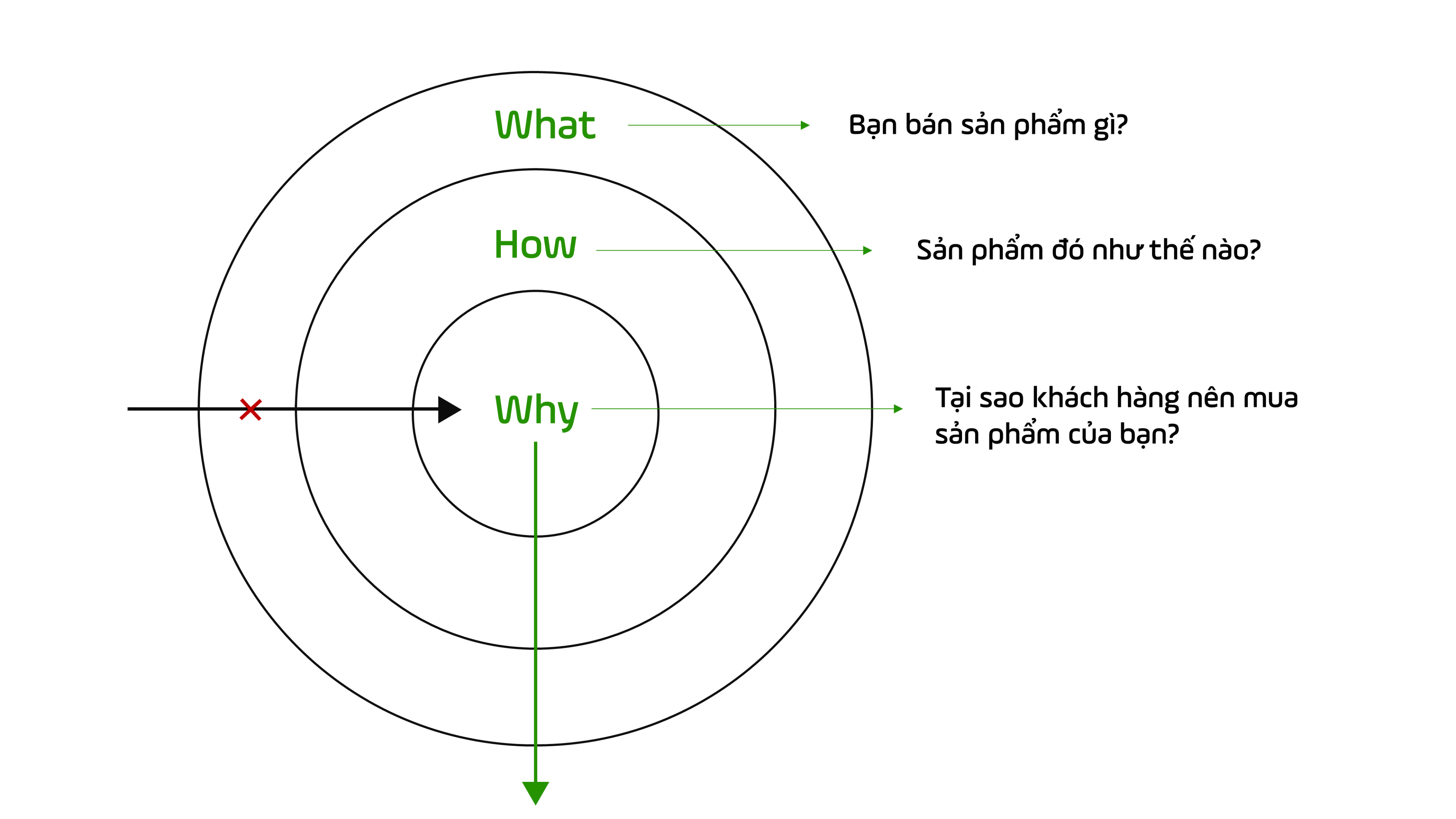 Lý thuyết "Vòng tròn vàng" của Simon Sinek